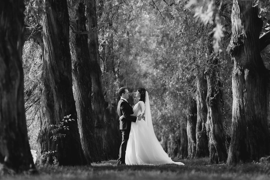 foto matrimonio Vicenza